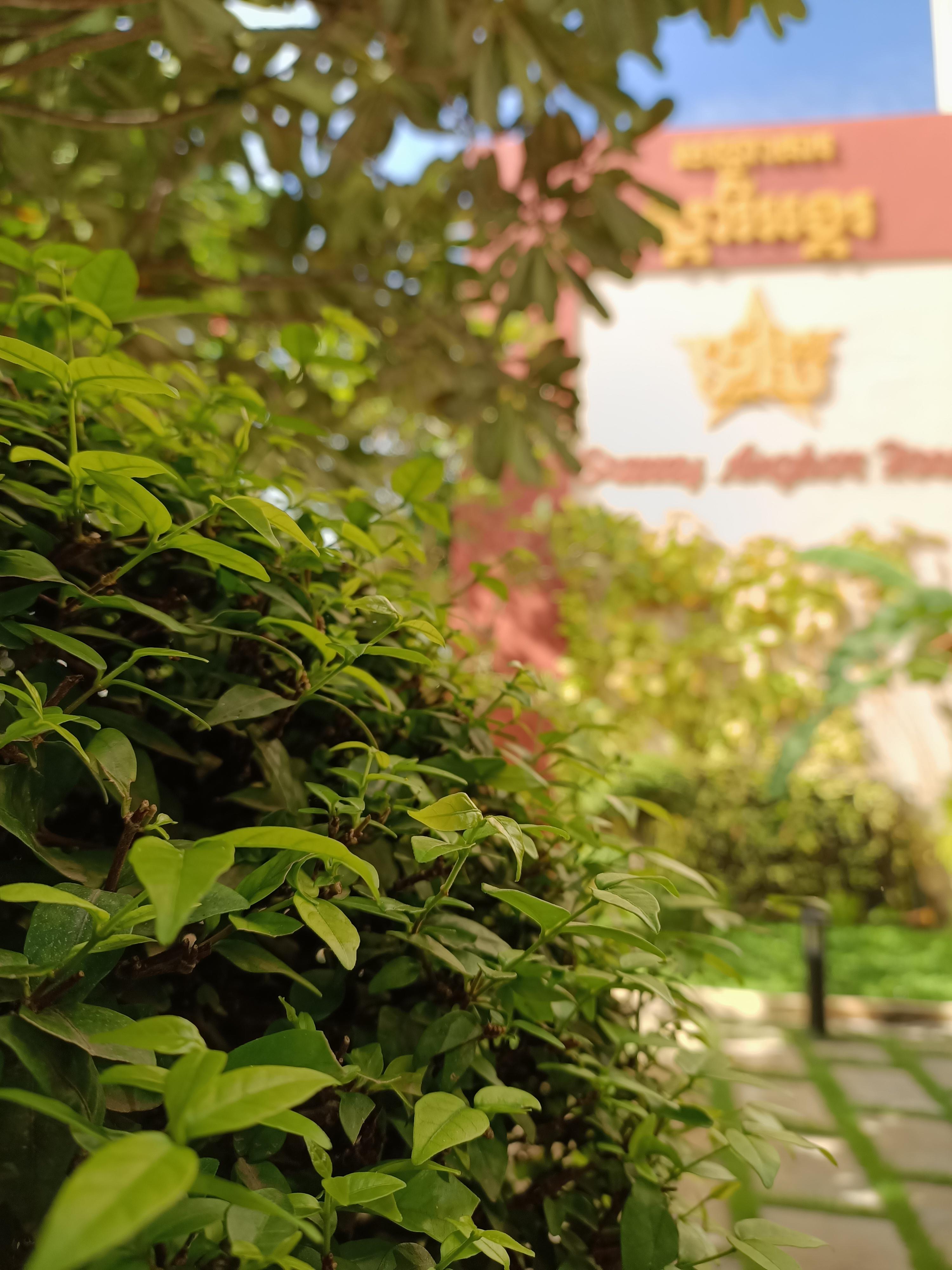 Starry Angkor Hotel Siem Reap Exteriör bild