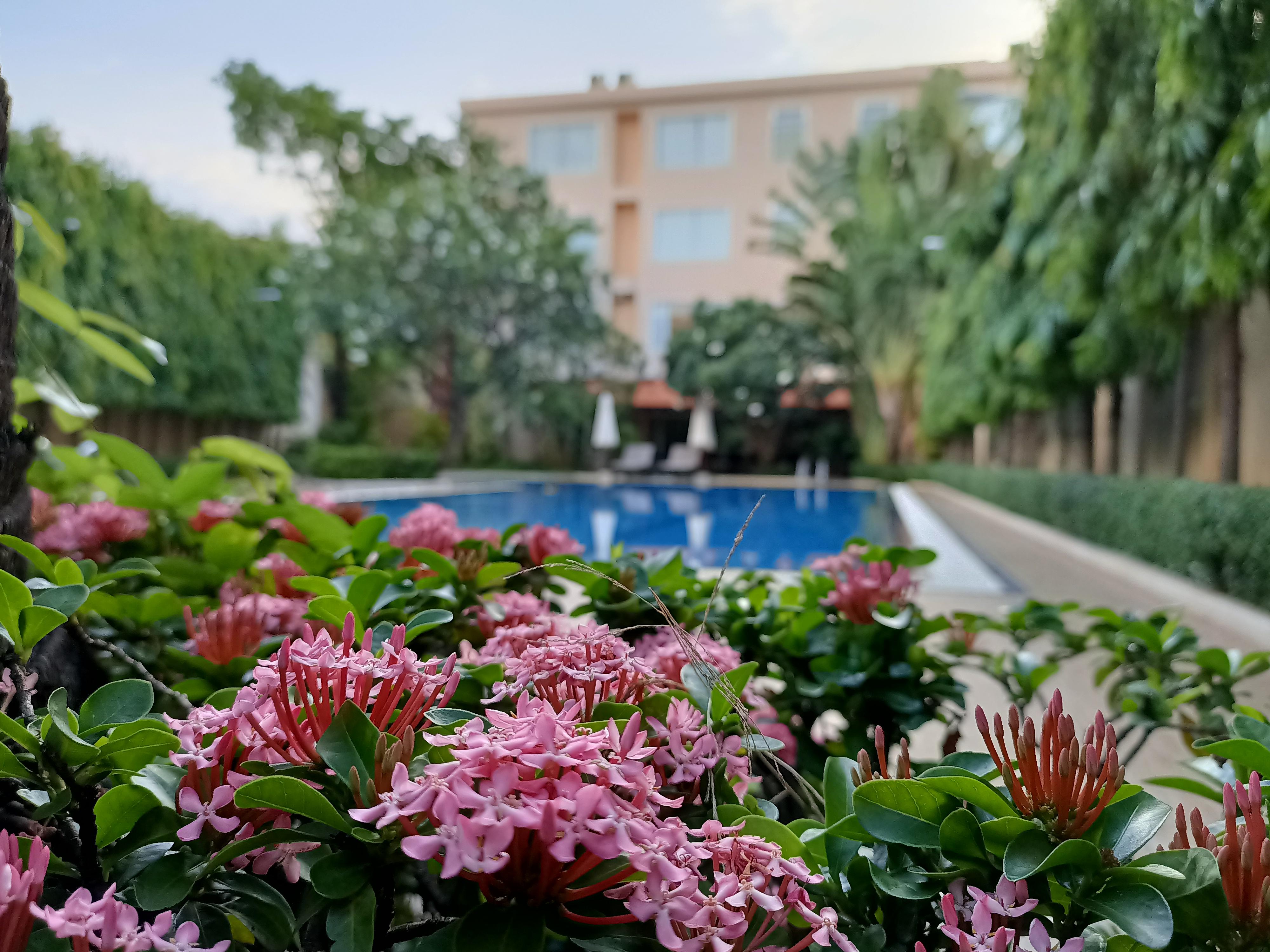 Starry Angkor Hotel Siem Reap Exteriör bild
